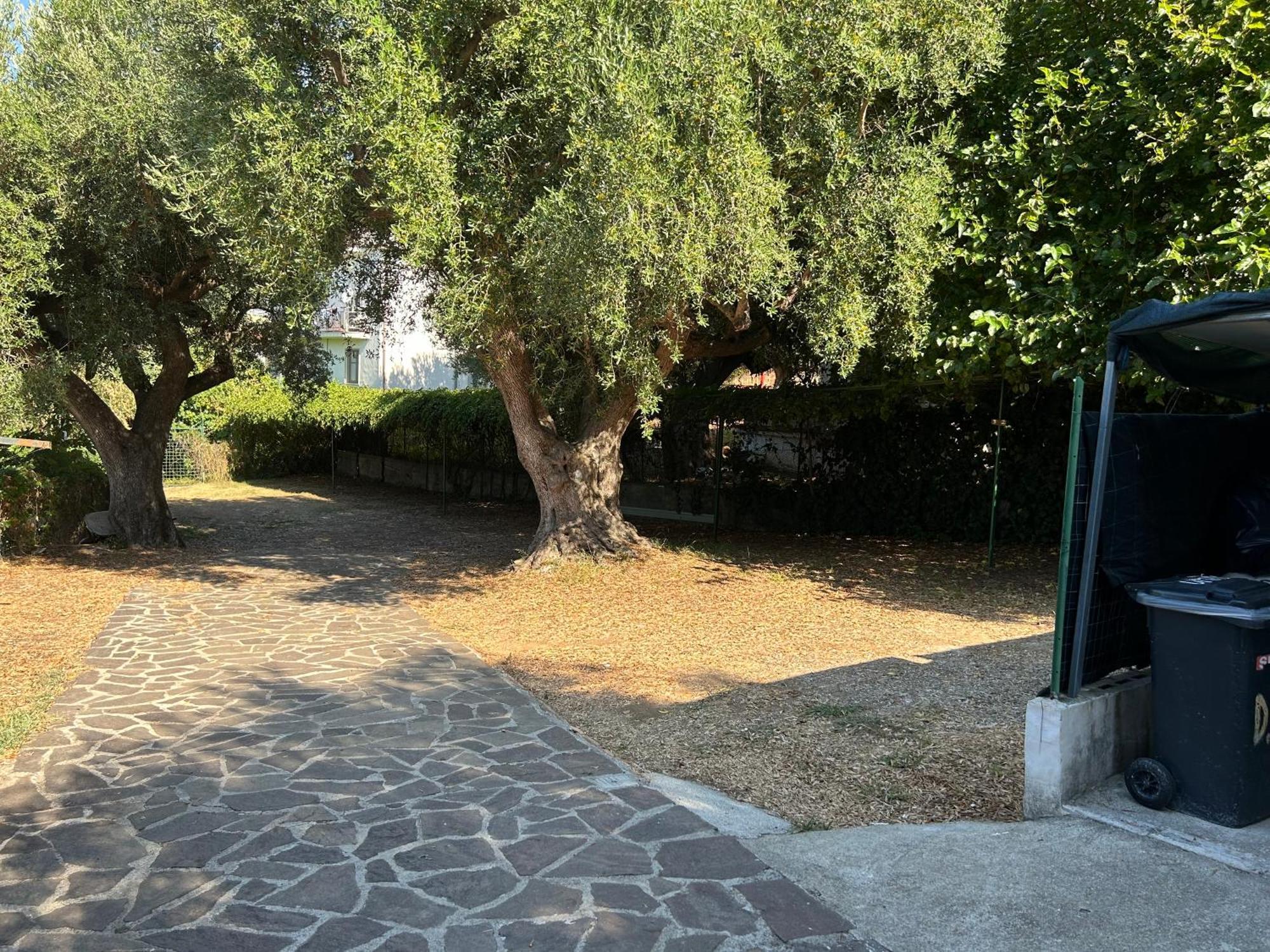Case Vacanza Da Domingo Marina di Camerota Exterior photo